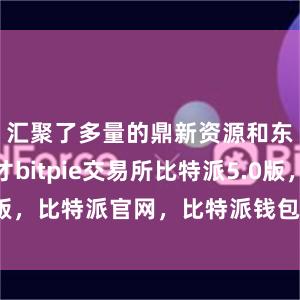 汇聚了多量的鼎新资源和东说念主才bitpie交易所比特派5.0版，比特派官网，比特派钱包，比特派下载