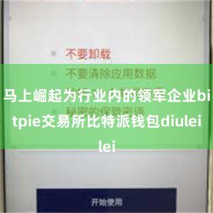 马上崛起为行业内的领军企业bitpie交易所比特派钱包diulei