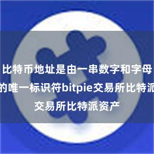 比特币地址是由一串数字和字母组成的唯一标识符bitpie交易所比特派资产