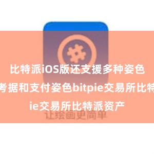 比特派iOS版还支援多种姿色的安全考据和支付姿色bitpie交易所比特派资产