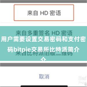 用户需要设置交易密码和支付密码bitpie交易所比特派简介