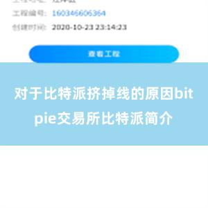 对于比特派挤掉线的原因bitpie交易所比特派简介